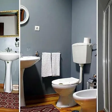 Estrela Peles * Sabugueiro