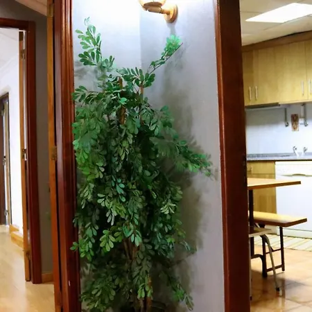 Estrela Peles Sabugueiro