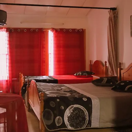 Estrela Peles Sabugueiro