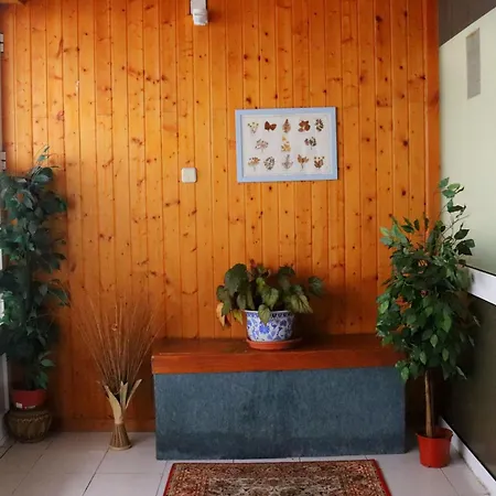 Apartman Estrela Peles *