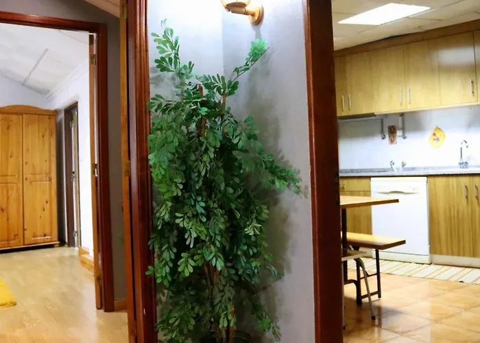 Estrela Peles Sabugueiro (Guarda)