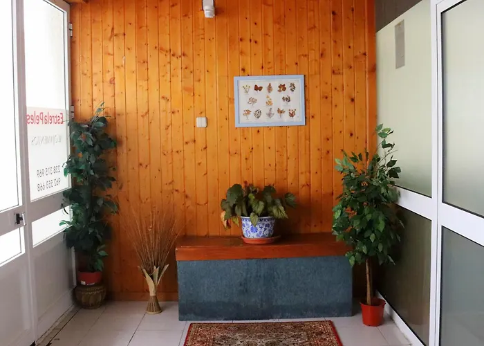 Appartement Estrela Peles *